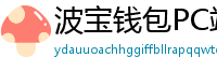 波宝钱包PC端下载